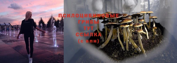 соль ск Алзамай