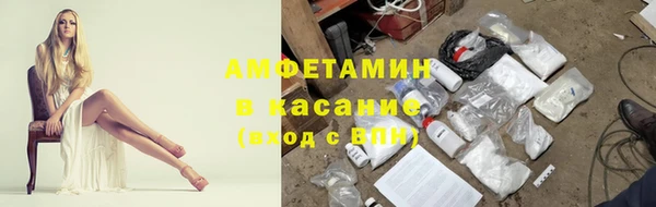 прущие грибы Алексеевка