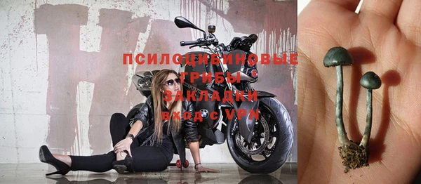 соль ск Алзамай