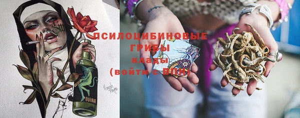 соль ск Алзамай
