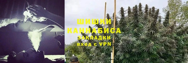 соль ск Алзамай