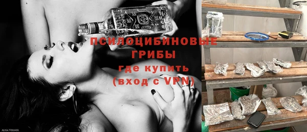 прущие грибы Алексеевка