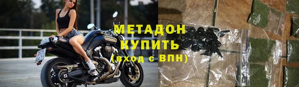 прущие грибы Алексеевка