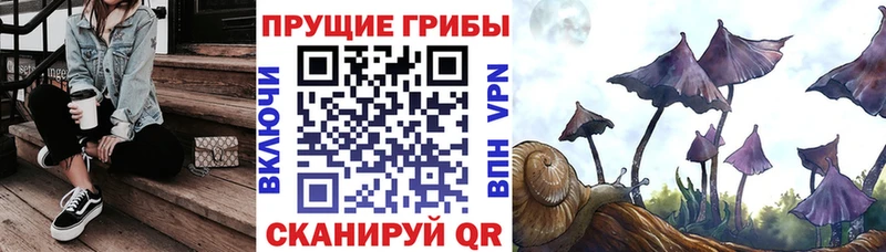 где купить наркоту Плавск Галлюциногенные грибы мухоморы
